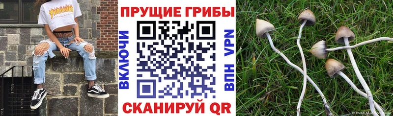 Галлюциногенные грибы мухоморы  Купить закладки  Краснокамск 